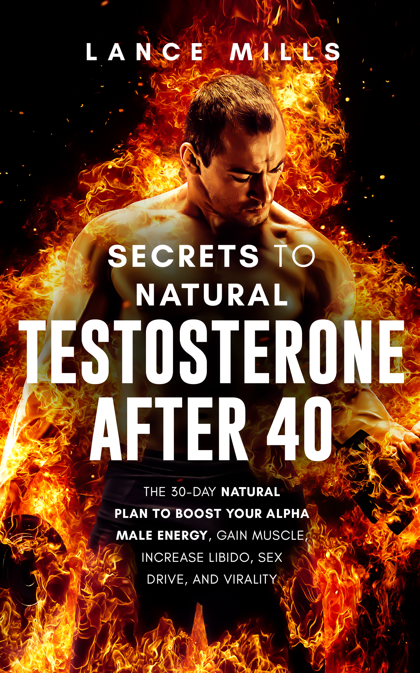 E book Testosterone after 40 The 30 Day Natural Plan To Boost